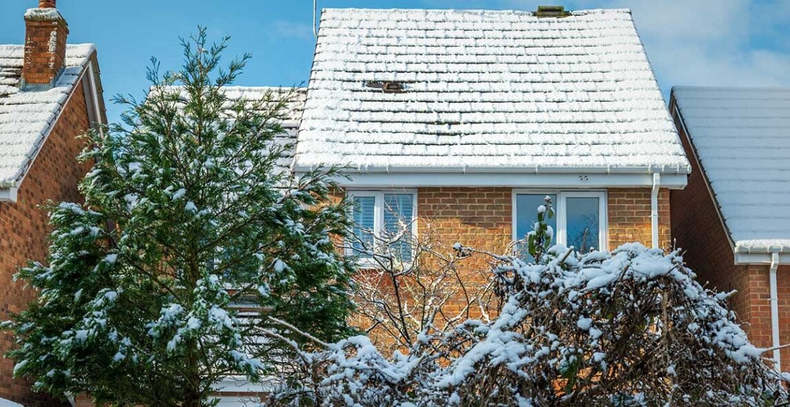 Fygesne på loftet: Sådan udbedrer og forebygger du skader