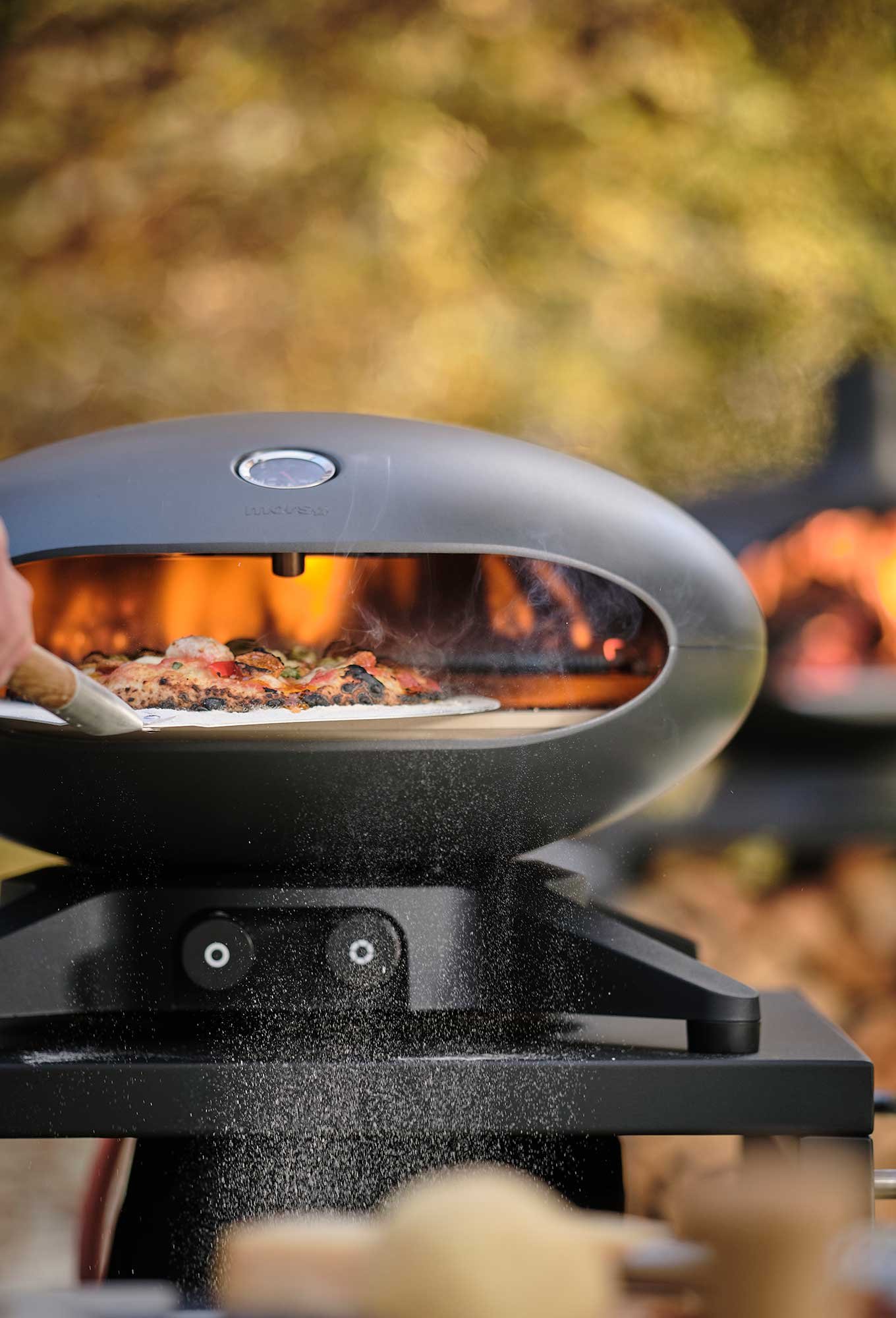 Hvad er forskellen på gasgrill og kulgrill?